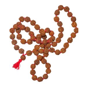 One Mukhi Rudraksha