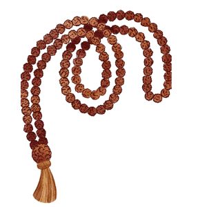 Two Mukhi Rudraksha